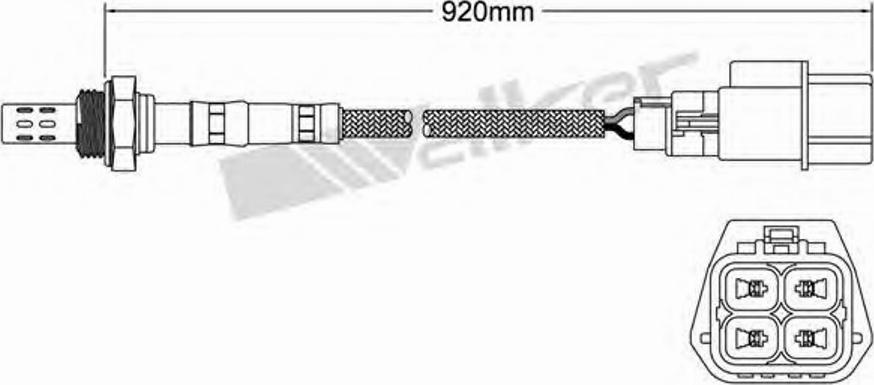 Walker 250-24284 - Ламбда-сонда vvparts.bg