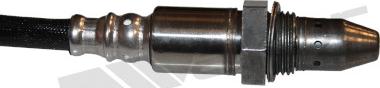 Walker Products 350-64080 - Ламбда-сонда vvparts.bg