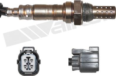 Walker Products 350-34403 - Ламбда-сонда vvparts.bg