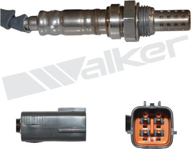 Walker Products 350-34538 - Ламбда-сонда vvparts.bg