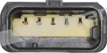 Walker Products 250-24991 - Ламбда-сонда vvparts.bg