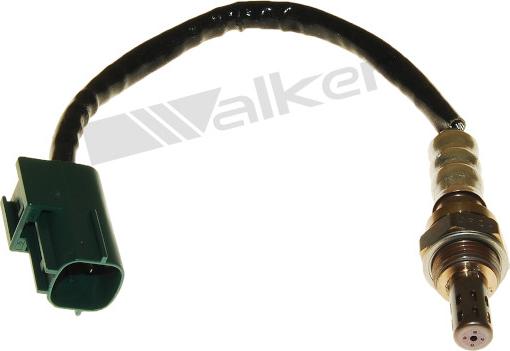 Walker Products 250-24951 - Ламбда-сонда vvparts.bg