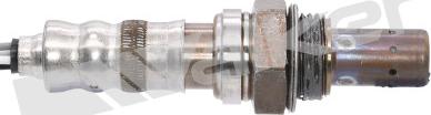 Walker Products 250-24460 - Ламбда-сонда vvparts.bg