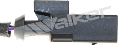 Walker Products 250-24538 - Ламбда-сонда vvparts.bg