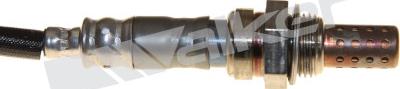 Walker Products 250-24111 - Ламбда-сонда vvparts.bg