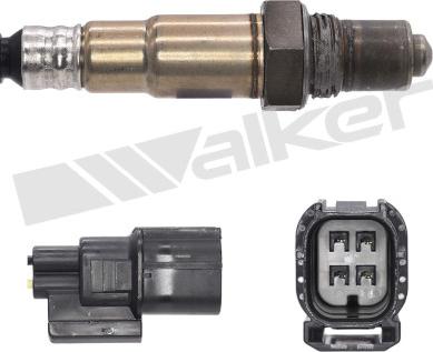 Walker Products 250-241256 - Ламбда-сонда vvparts.bg