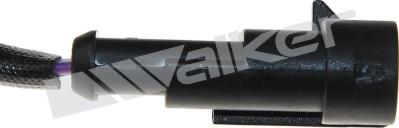 Walker Products 250-24705 - Ламбда-сонда vvparts.bg