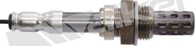 Walker Products 250-21007 - Ламбда-сонда vvparts.bg