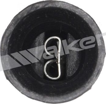 Walker Products 250-21013 - Ламбда-сонда vvparts.bg