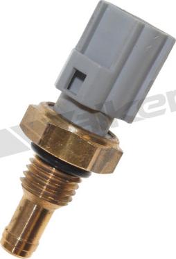 Walker Products 211-1042 - Датчик, темература на маслото vvparts.bg