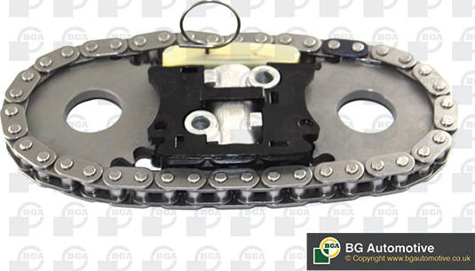 Wilmink Group WG1907531 - Комплект ангренажна верига vvparts.bg