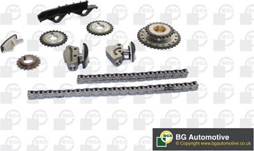 Wilmink Group WG1488143 - Комплект ангренажна верига vvparts.bg