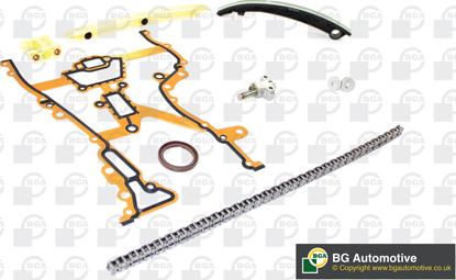 Wilmink Group WG1488137 - Комплект ангренажна верига vvparts.bg