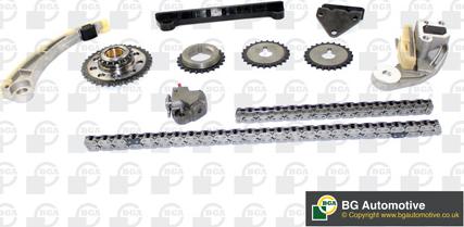 Wilmink Group WG1488238 - Комплект ангренажна верига vvparts.bg