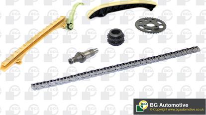 Wilmink Group WG1488276 - Комплект ангренажна верига vvparts.bg