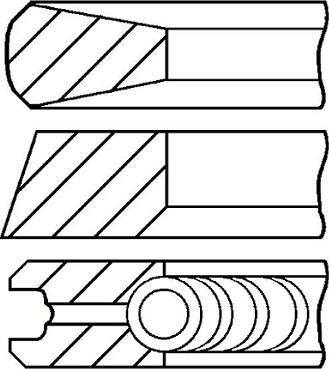 Wilmink Group WG1096223 - Комплект сегменти vvparts.bg