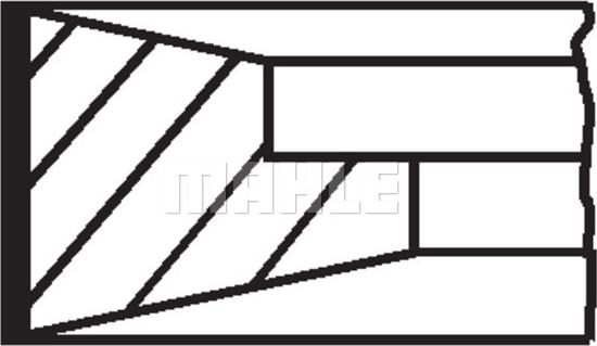 Wilmink Group WG1104581 - Комплект сегменти vvparts.bg