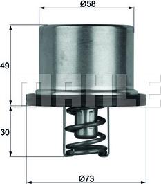 Wilmink Group WG1104045 - Термостат, охладителна течност vvparts.bg