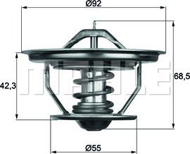 Wilmink Group WG1262752 - Термостат, охладителна течност vvparts.bg