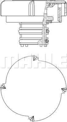 Wilmink Group WG2184228 - Капачка, резервоар за охладителна течност vvparts.bg