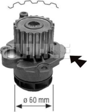 Wilmink Group WG2181957 - Водна помпа vvparts.bg