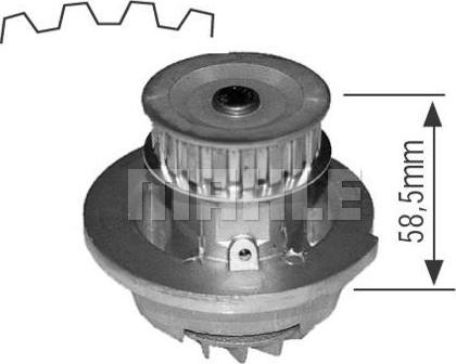 Wilmink Group WG2181578 - Водна помпа vvparts.bg