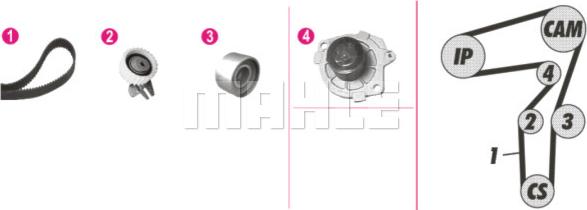 Wilmink Group WG2182190 - Водна помпа+ к-кт ангренажен ремък vvparts.bg