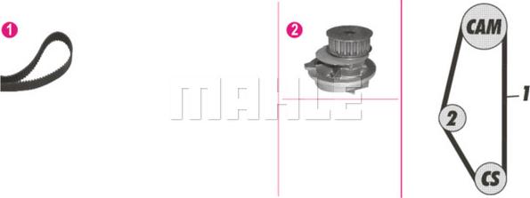 Wilmink Group WG2182149 - Водна помпа+ к-кт ангренажен ремък vvparts.bg