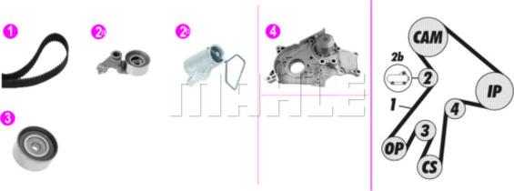 Wilmink Group WG2182143 - Водна помпа+ к-кт ангренажен ремък vvparts.bg