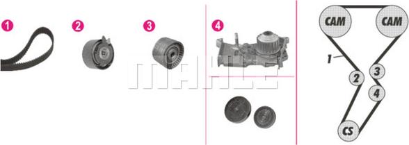 Wilmink Group WG2182147 - Водна помпа+ к-кт ангренажен ремък vvparts.bg