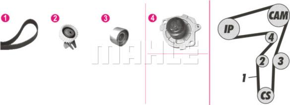 Wilmink Group WG2182154 - Водна помпа+ к-кт ангренажен ремък vvparts.bg