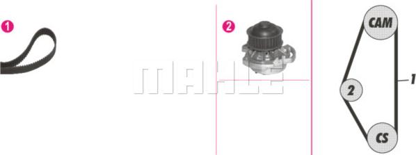 Wilmink Group WG2182155 - Водна помпа+ к-кт ангренажен ремък vvparts.bg