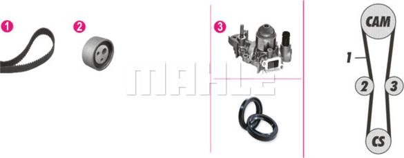 Wilmink Group WG2182162 - Водна помпа+ к-кт ангренажен ремък vvparts.bg