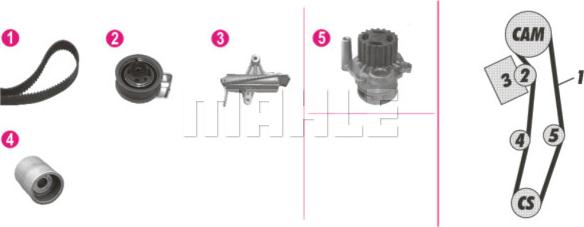 Wilmink Group WG2182109 - Водна помпа+ к-кт ангренажен ремък vvparts.bg