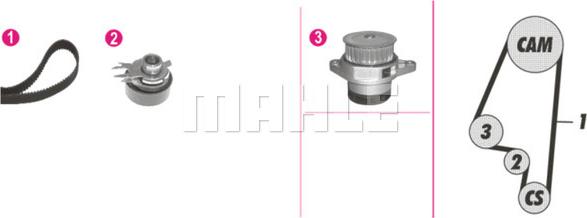 Wilmink Group WG2182104 - Водна помпа+ к-кт ангренажен ремък vvparts.bg