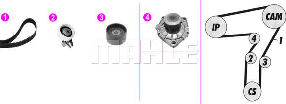 Wilmink Group WG2182103 - Водна помпа+ к-кт ангренажен ремък vvparts.bg