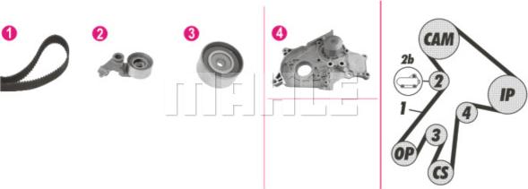 Wilmink Group WG2182116 - Водна помпа+ к-кт ангренажен ремък vvparts.bg