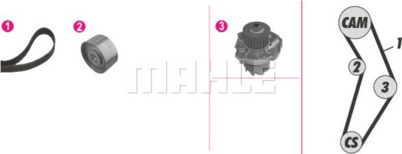 Wilmink Group WG2182118 - Водна помпа+ к-кт ангренажен ремък vvparts.bg