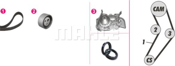 Wilmink Group WG2182182 - Водна помпа+ к-кт ангренажен ремък vvparts.bg