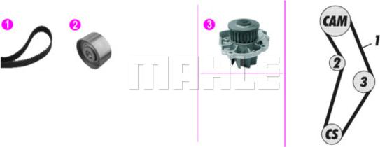 Wilmink Group WG2182139 - Водна помпа+ к-кт ангренажен ремък vvparts.bg