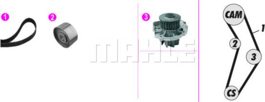 Wilmink Group WG2182138 - Водна помпа+ к-кт ангренажен ремък vvparts.bg