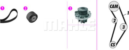 Wilmink Group WG2182133 - Водна помпа+ к-кт ангренажен ремък vvparts.bg