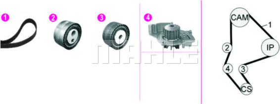 Wilmink Group WG2182132 - Водна помпа+ к-кт ангренажен ремък vvparts.bg