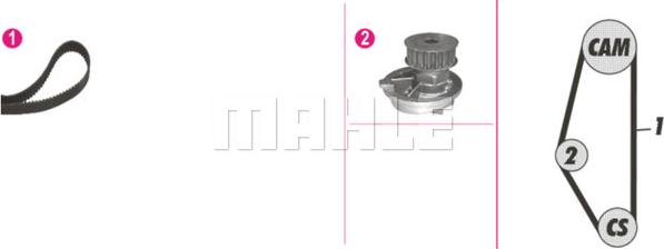 Wilmink Group WG2182129 - Водна помпа+ к-кт ангренажен ремък vvparts.bg