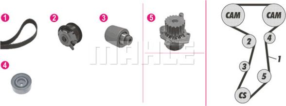 Wilmink Group WG2182124 - Водна помпа+ к-кт ангренажен ремък vvparts.bg