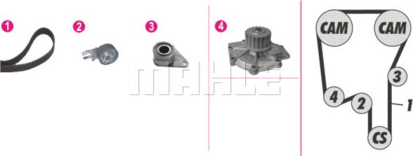 Wilmink Group WG2182120 - Водна помпа+ к-кт ангренажен ремък vvparts.bg