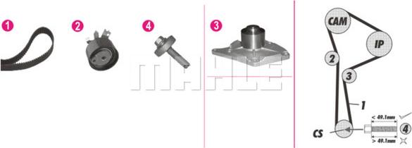 Wilmink Group WG2182121 - Водна помпа+ к-кт ангренажен ремък vvparts.bg