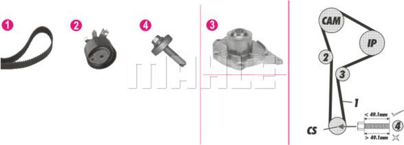 Wilmink Group WG2182122 - Водна помпа+ к-кт ангренажен ремък vvparts.bg