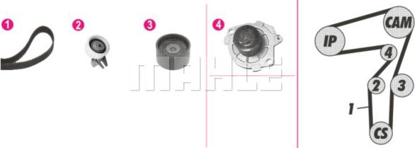 Wilmink Group WG2182127 - Водна помпа+ к-кт ангренажен ремък vvparts.bg