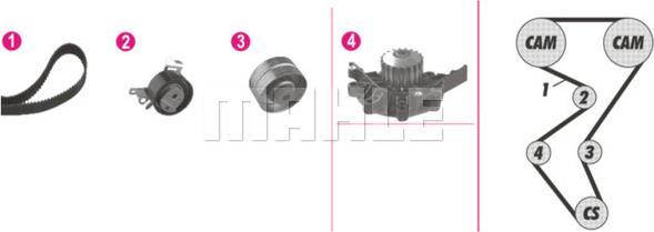 Wilmink Group WG2182179 - Водна помпа+ к-кт ангренажен ремък vvparts.bg